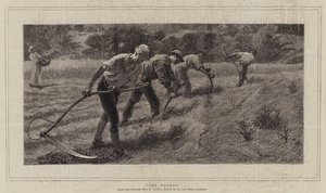 Les faucheurs - Philip Richard Morris